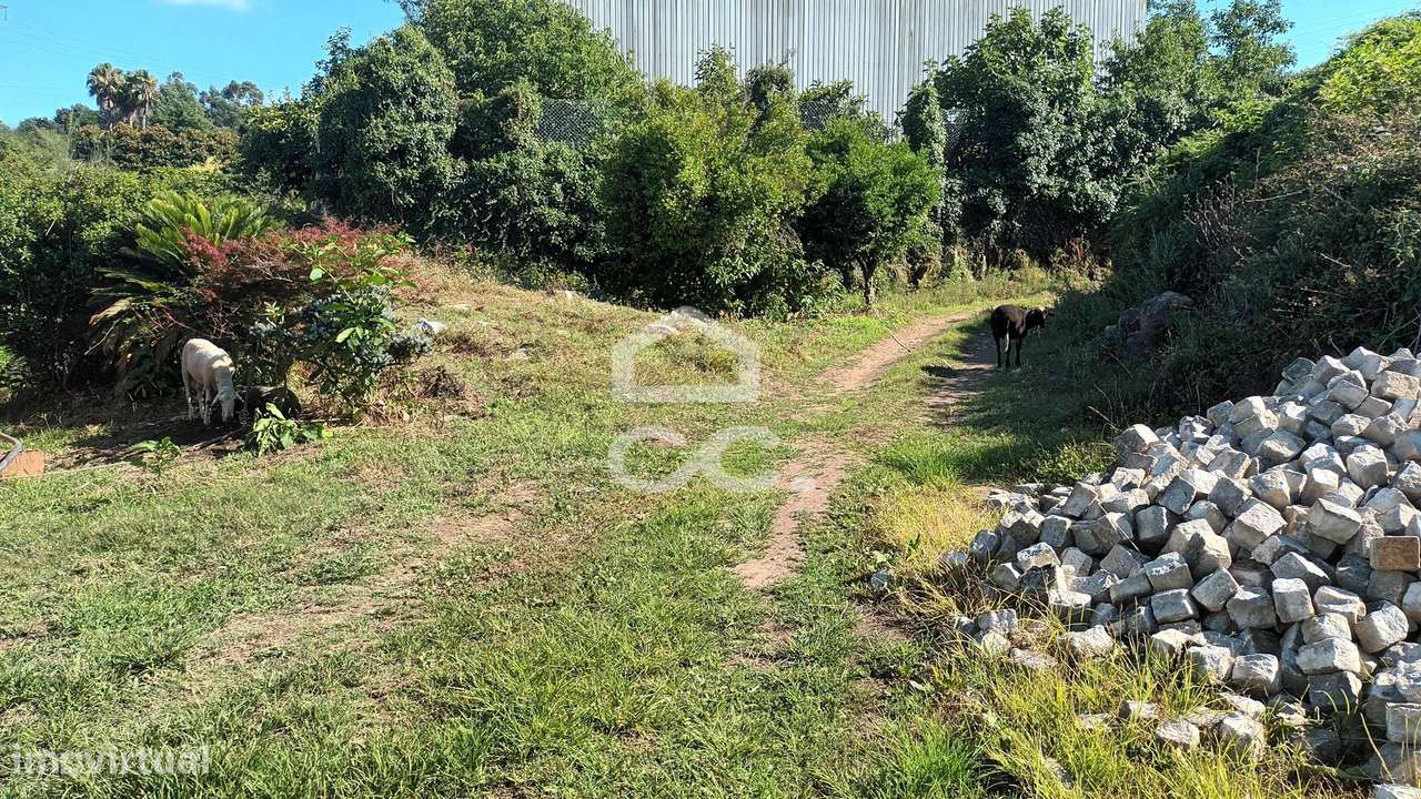 Terreno em Selho São Jorge - Guimarães - Grande imagem: 4/5