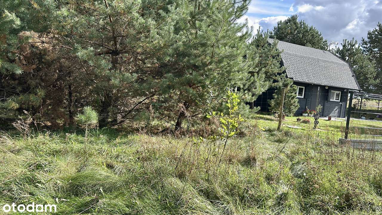 Działka 800 m² pod lasem | Mstów | MPZP | Spokojna okolica-3