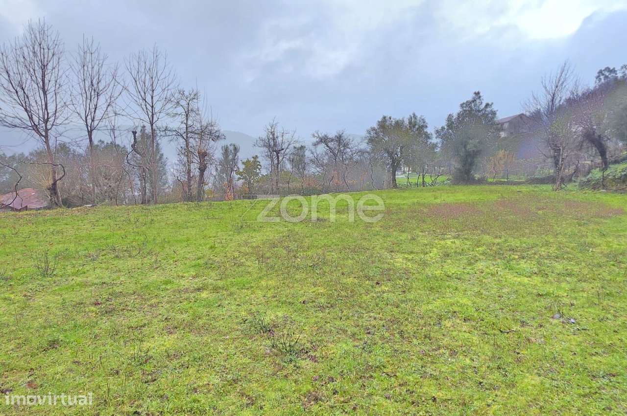 Terreno rústico com possibilidade de construção de moradia - Grande imagem: 5/16