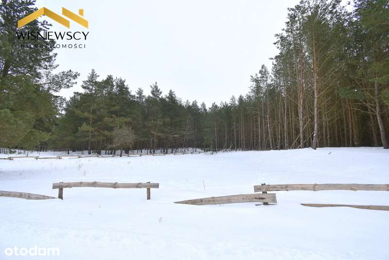 Działka 3001 m2, przy lesie, budowlana, uzbrojona-1