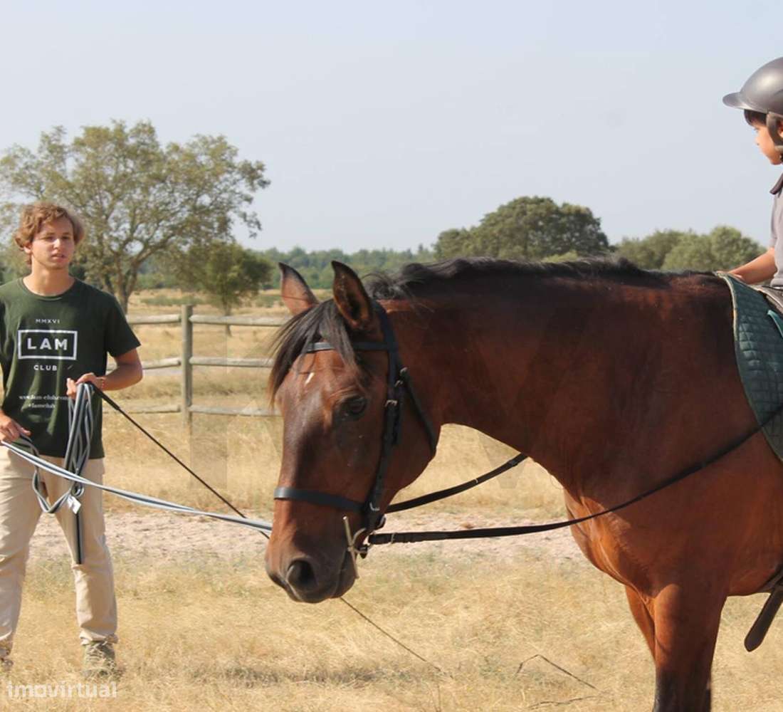 Herdade da Lameira - Country Hotel, Alter Chão, Alentejo, Portalegre,-36