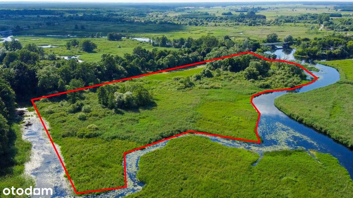 Teren z istniejącą zabudową -lina brzegowa Biebrzy - Pełny obrazek: 5/16