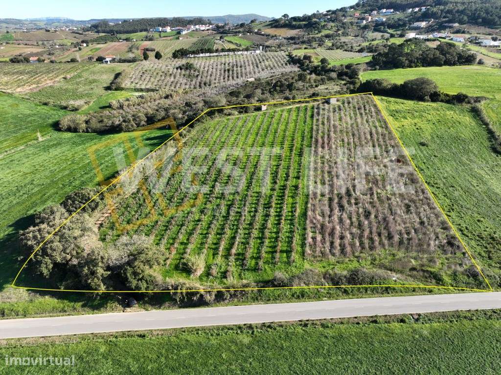 Terreno agrícola de 12040m2 com poço e casa de apoio para a ativida... - Grande imagem: 1/18