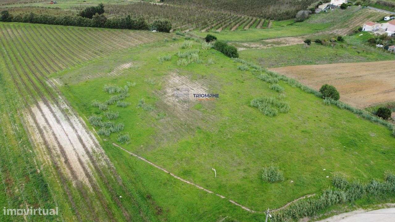 Terreno urbano de 15.000m2 em Freiria, Torres Vedras - Grande imagem: 3/4