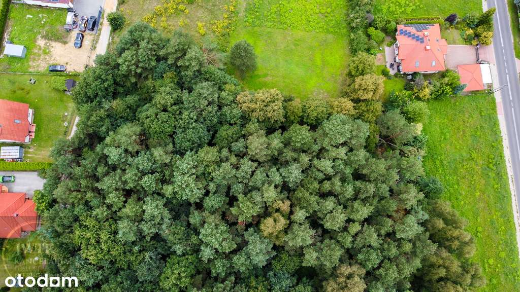 Do sprzedania piękna działka - Bolęcin-1