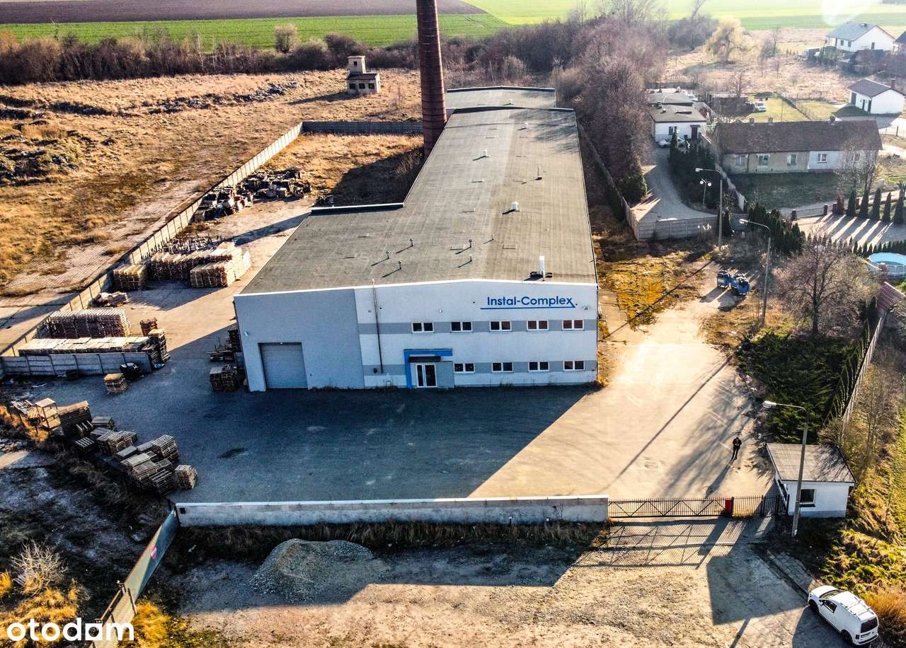 Śrem hala magazyn-produkcja 2155 m2 z placem 15 000 m2 i biurami - Pełny obrazek: 4/4