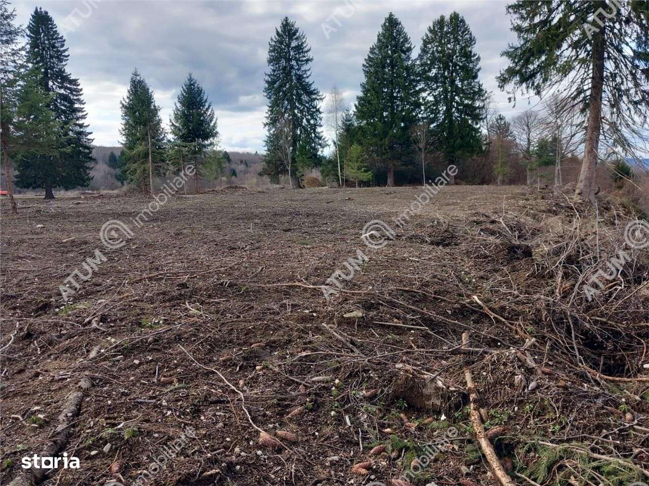 Teren intravilan 2000 mp de vanzare pe Valea Avrigului loc Avrig - Imagine principală: 2/6