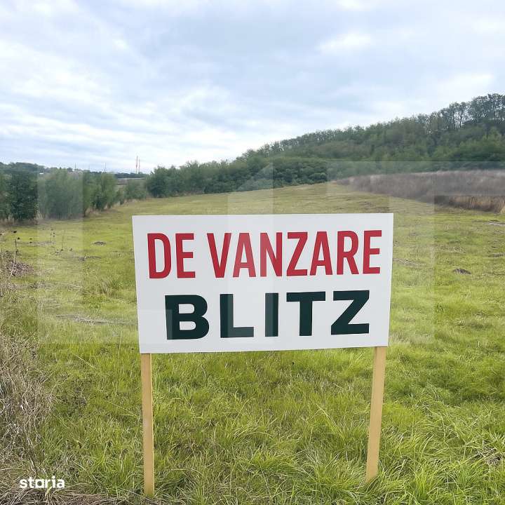 Teren extravilan de vanzare, 5.800 mp, zona Manolesti-Botosani - Imagine principală: 1/1