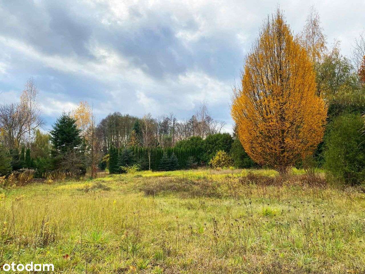Malownicza działka budowlana przy lesie Choroszcz - Pełny obrazek: 4/7