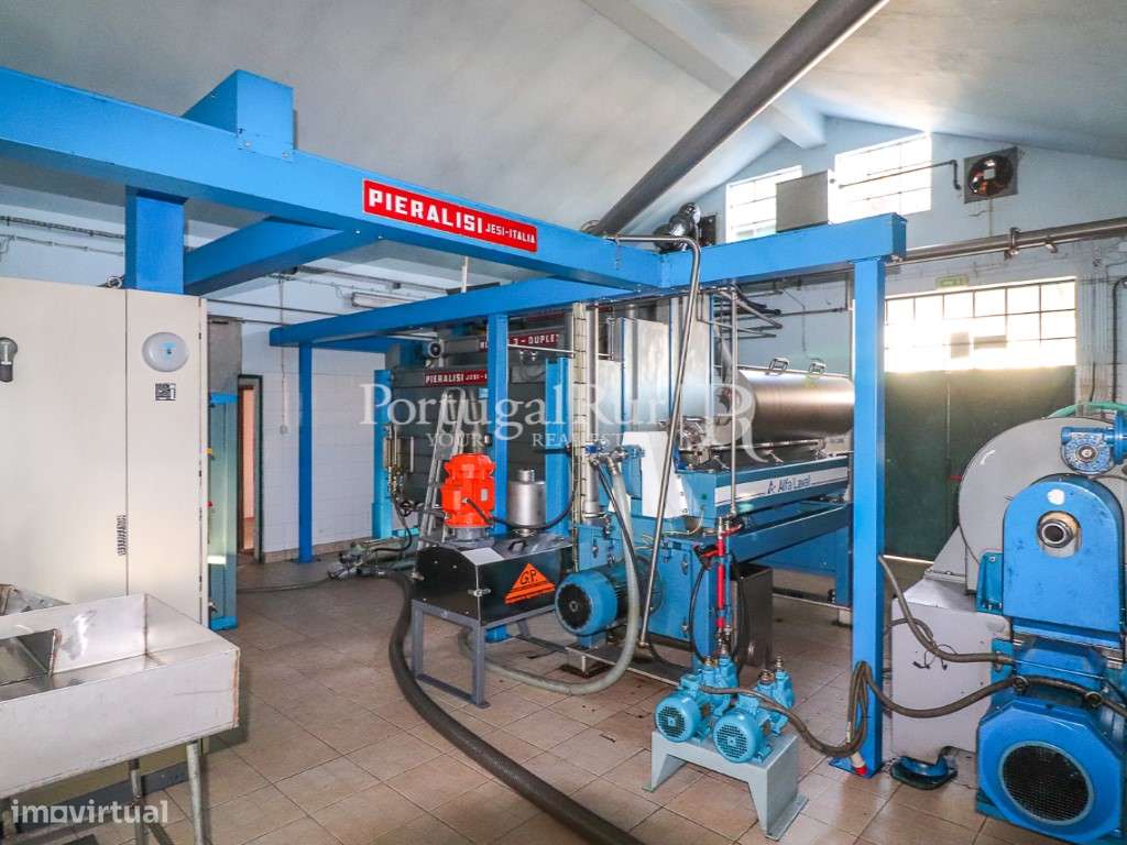 Unidade Industrial de Produção de Azeite & Elevado Potencial Produtivo-30