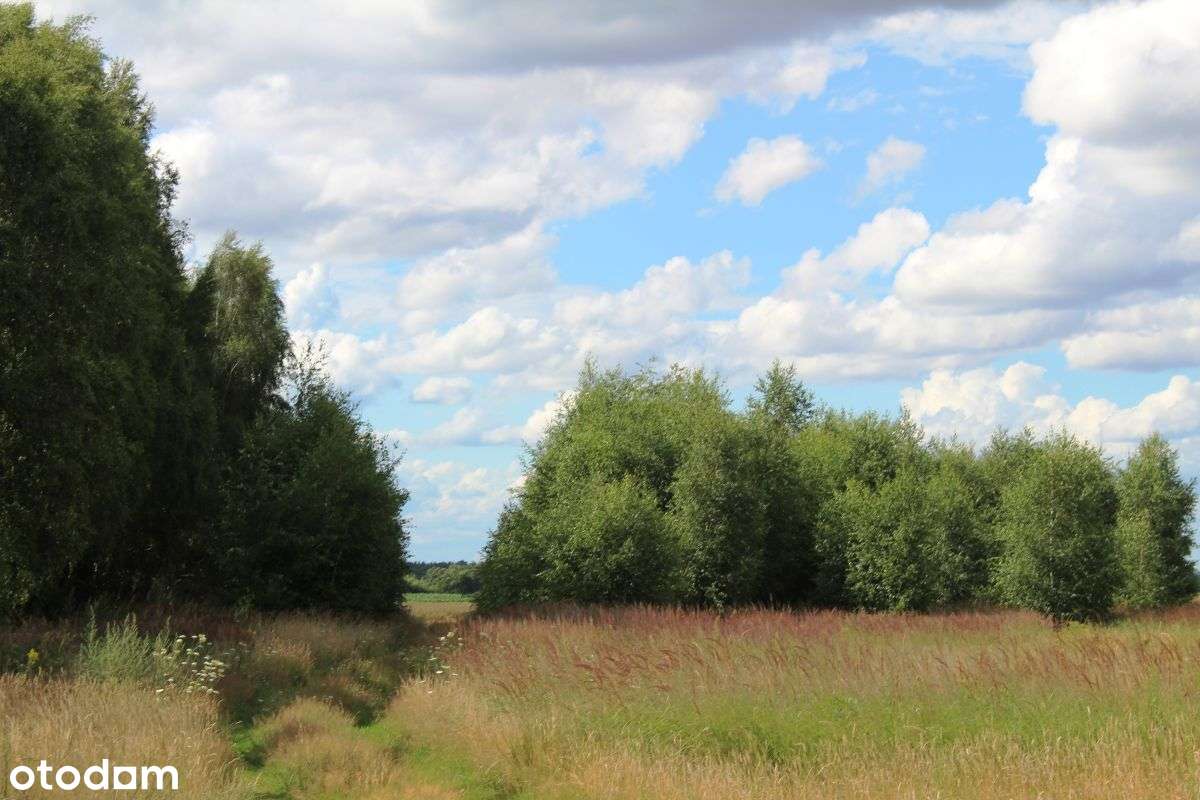 Ziemia orna z potencjałem-7