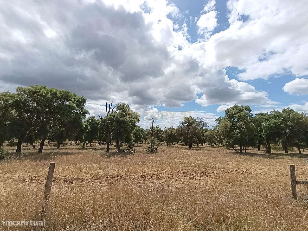 Propriedade no Alentejo com Grande Potencial Turístico e Agrícola pert-11