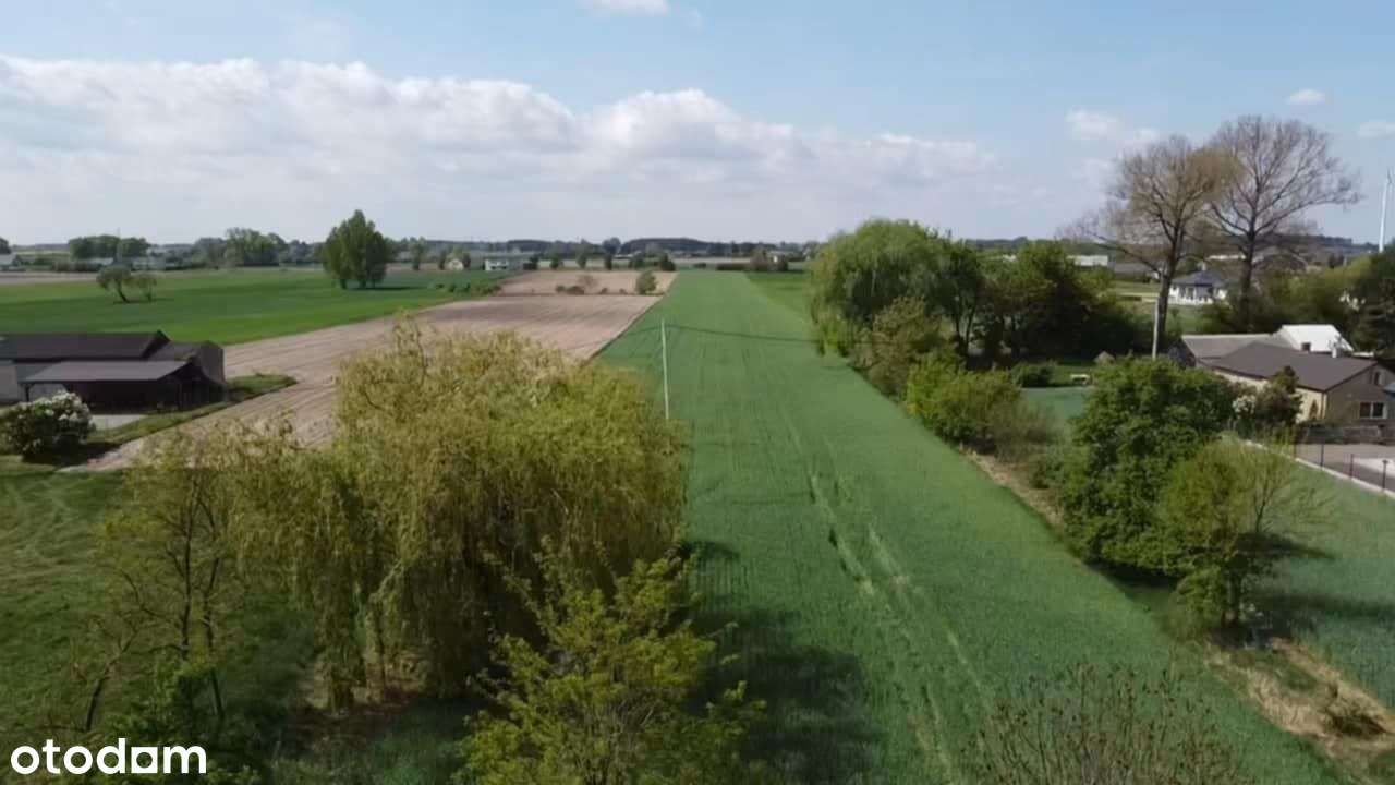 Siedlisko z potencjałem – Piotrków Kujawski, możliwość podziału-18