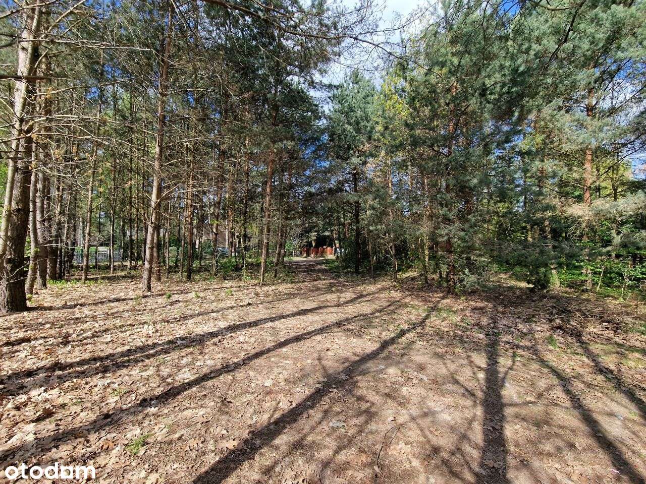 Atrakcyjne działki - Zbiczno-10