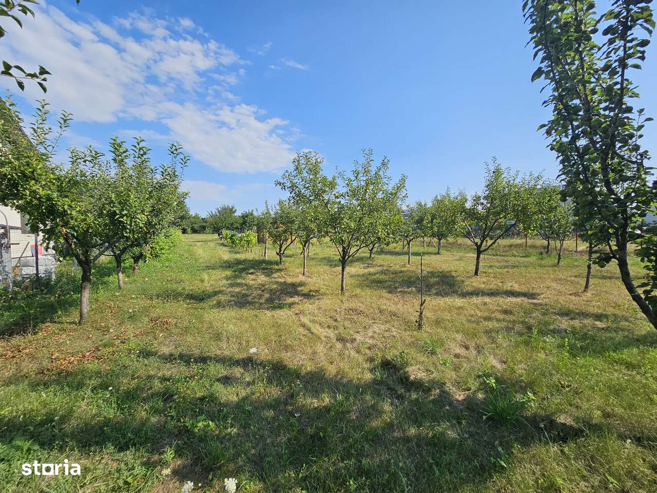 Teren intravilan 1400mp pentru constructii case in Aroneanu, cu livada - Imagine principală: 3/6