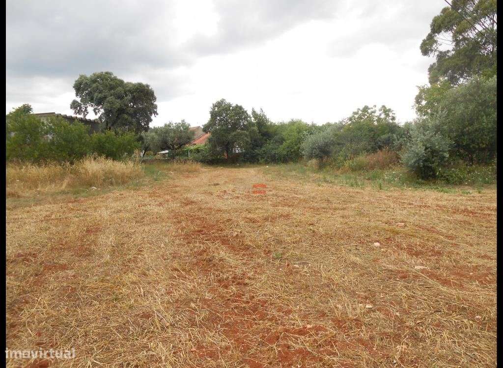 TERRENO PARA CONSTRUÇÃO COM 2880 M2 - MORADIA PARA RESTAURO - Grande imagem: 2/24