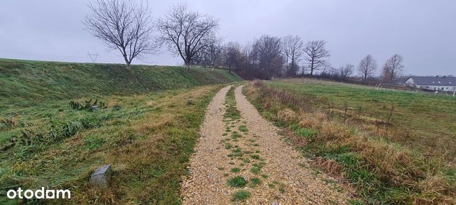 Sprzedam działkę Poniszowice Gliwicka