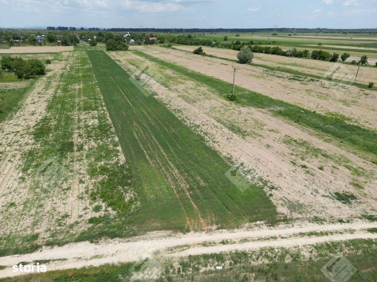 Teren Intravilan Mircestii Vechi Vanatori-6100mp - Imagine principală: 5/8