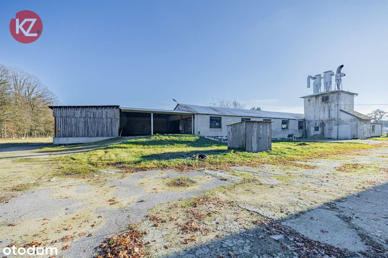 Obiekt na sprzedaż, Margonin (gw)-19