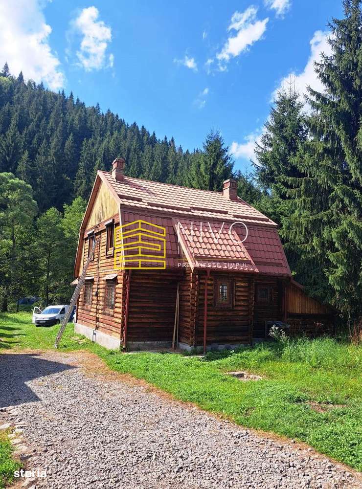 Casă de vacanță - Mureș - Sălard - Imagine principală: 4/5