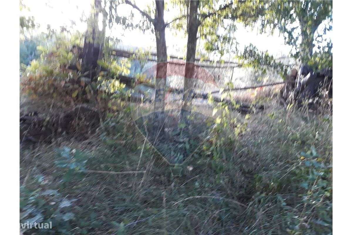 Terrenos para venda - Grande imagem: 5/5