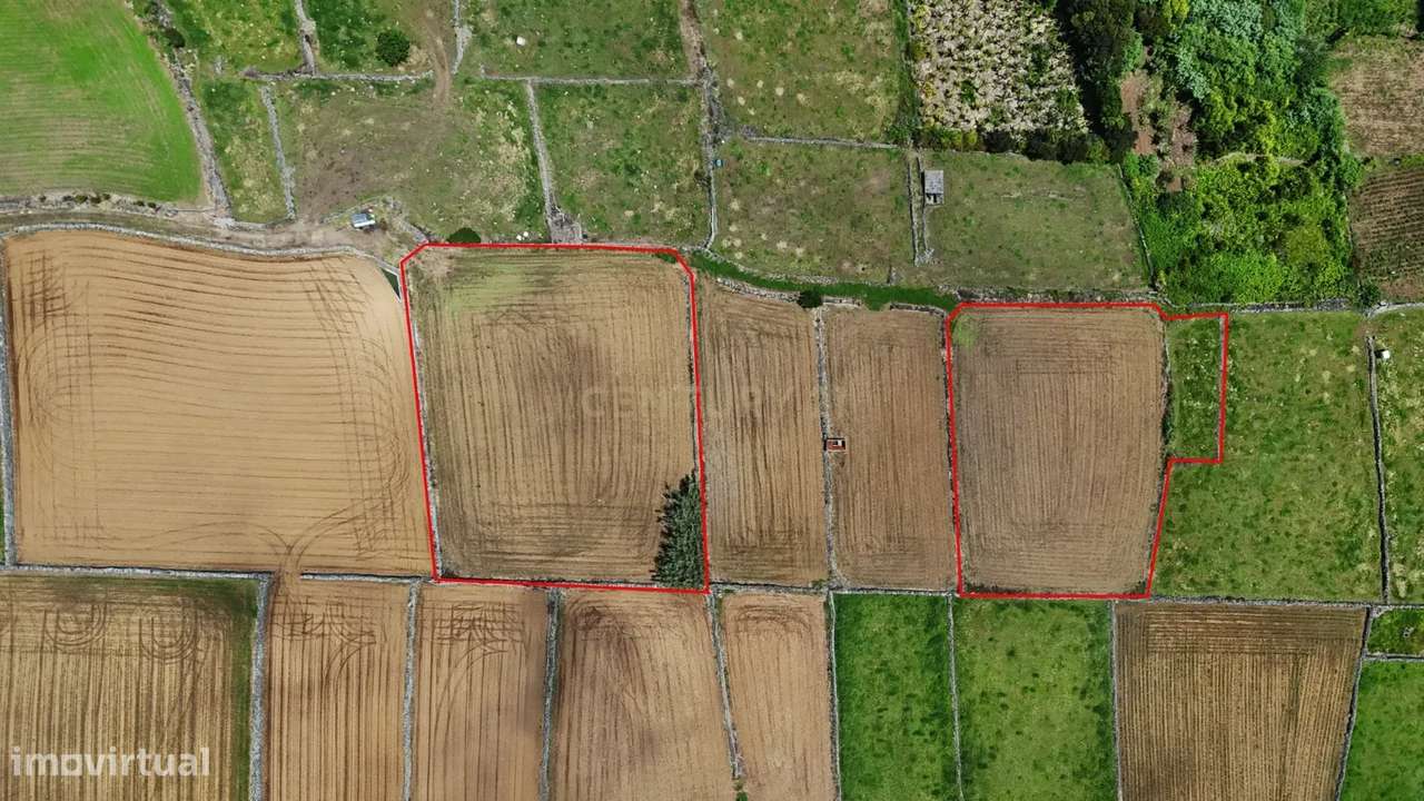 Terrenos agrícolas  na zona da Ladeira Grande – Ribeirinha, Ilha Terce-6