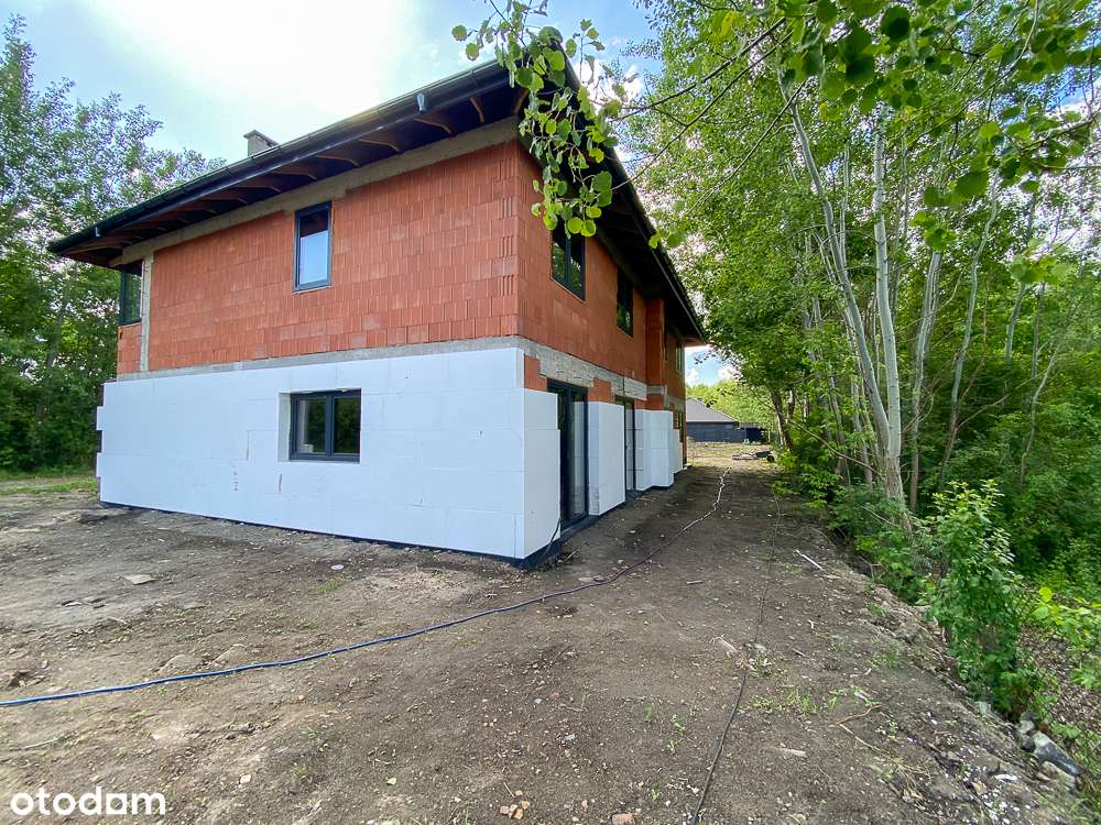 OSTATNI Bliźniak,  Strzemieszyce WLK - Pełny obrazek: 5/10