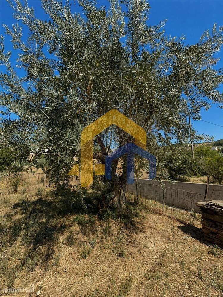 Quintinha para Recuperação Total em Glória – Estremoz-37