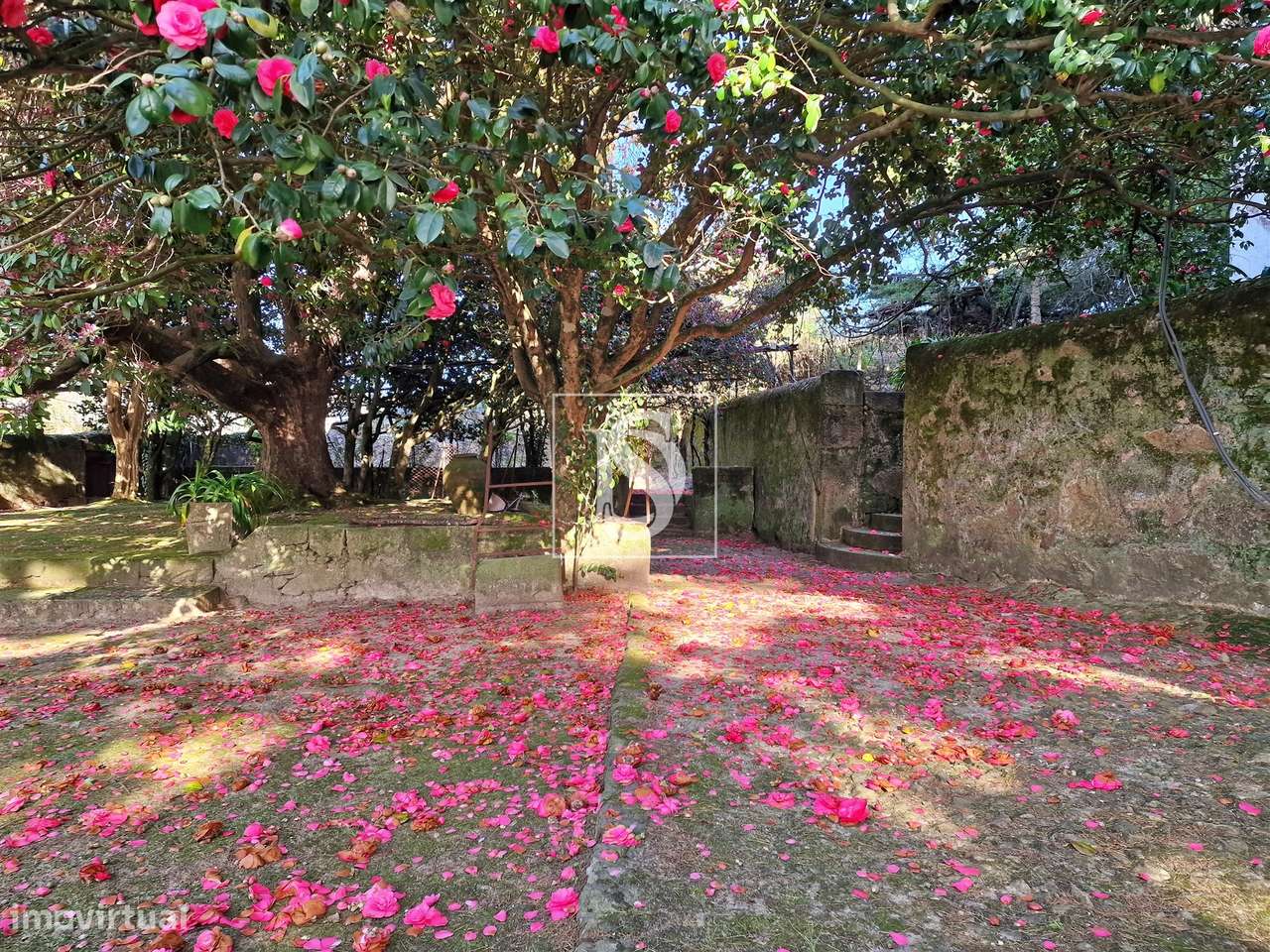 Quinta T6 Venda em Touguinha e Touguinhó,Vila do Conde-32