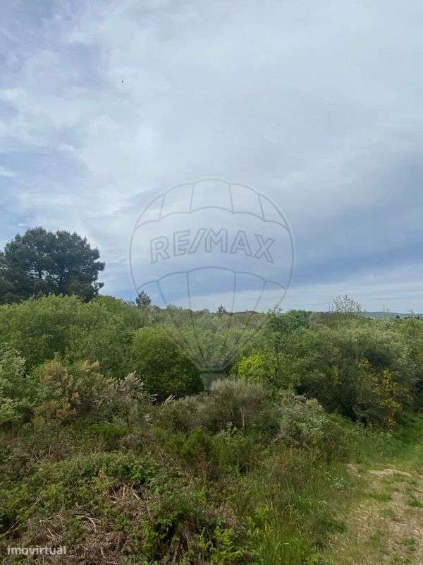 Terreno  para venda - Grande imagem: 5/9