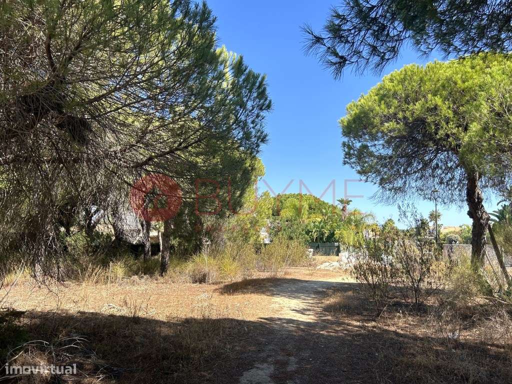 Lote de Terreno para Moradia nas Varandas do Lago, Almancil - Grande imagem: 4/6