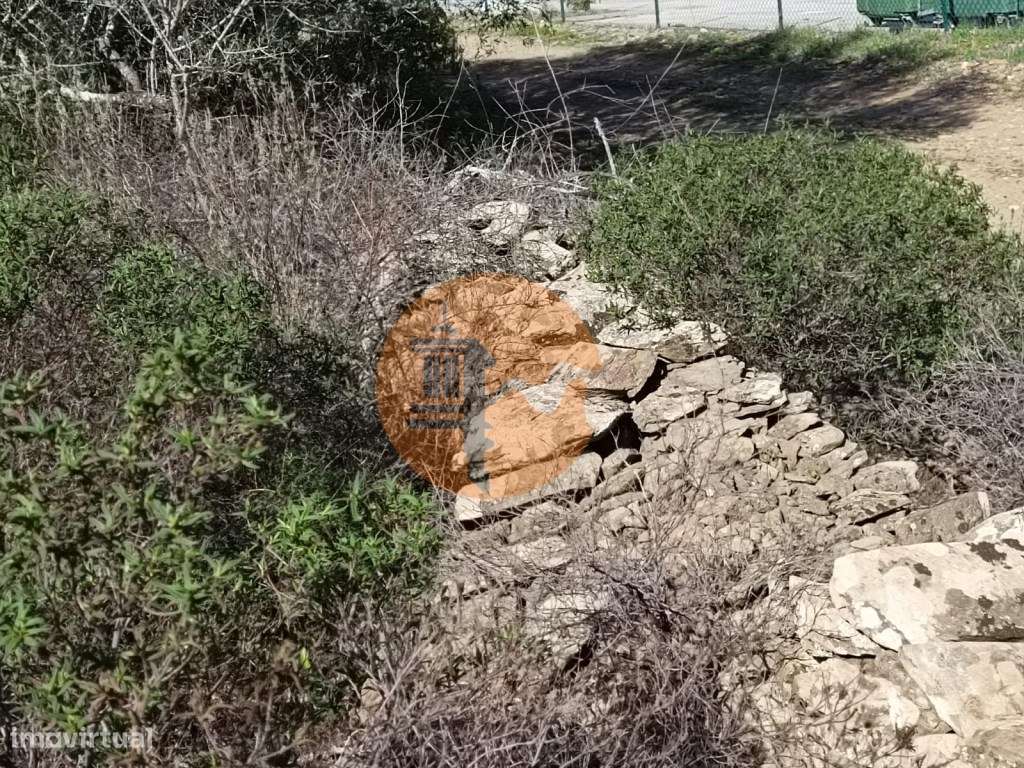 TERRENO COM 23.840 M2 - COM AGUA E LUZ - PLANO - BALURCOS - ALCOUTI... - Grande imagem: 3/17