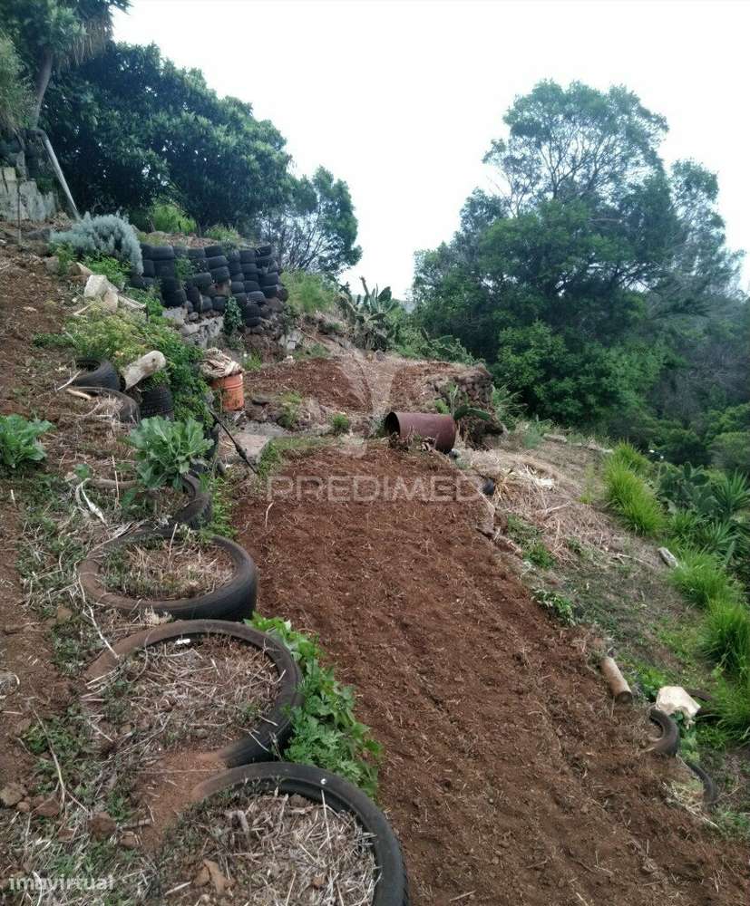 Terreno rústico em  Água de  pena . - Grande imagem: 3/7