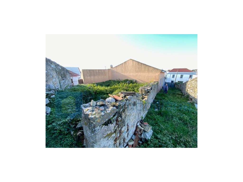 Oportunidade única 3 terrenos independentes para construção perto d...-5