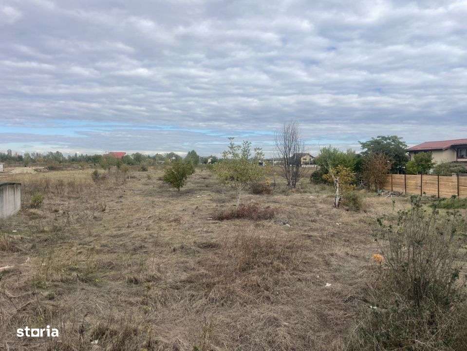 Domnesti, Drumul Targului, teren 3752 mp, 129ml x 29 ml, utilitati la-4