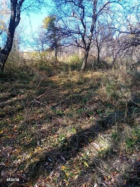 De vinzare teren 5100 mp - Imagine principală: 4/8