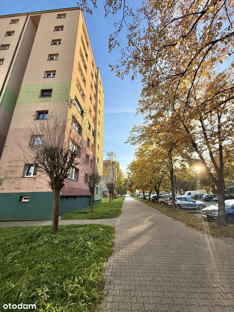 Przestronne 3 pokoje w centrum, blisko Parku Miejskiego - Pełny obrazek: 1/16