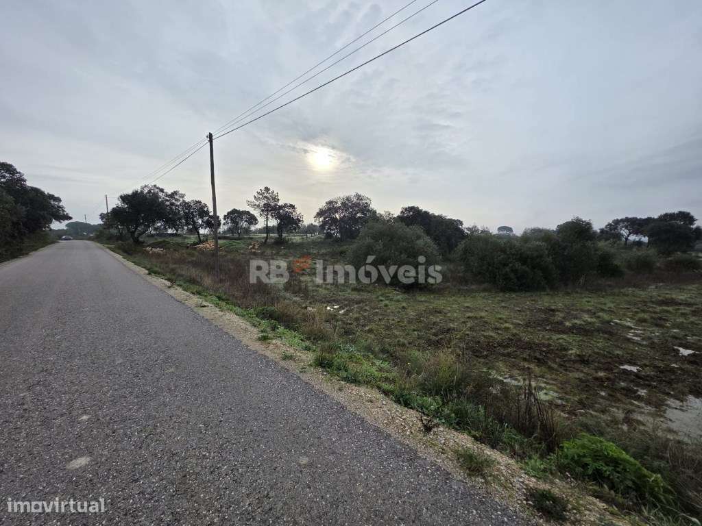 Terreno rústico com 4.080m2 - Soudos, Torres Novas - Grande imagem: 5/7