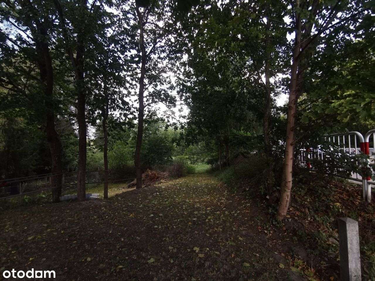 Działka przy strumieniu w pobliżu jezior- Złotów - Pełny obrazek: 5/20