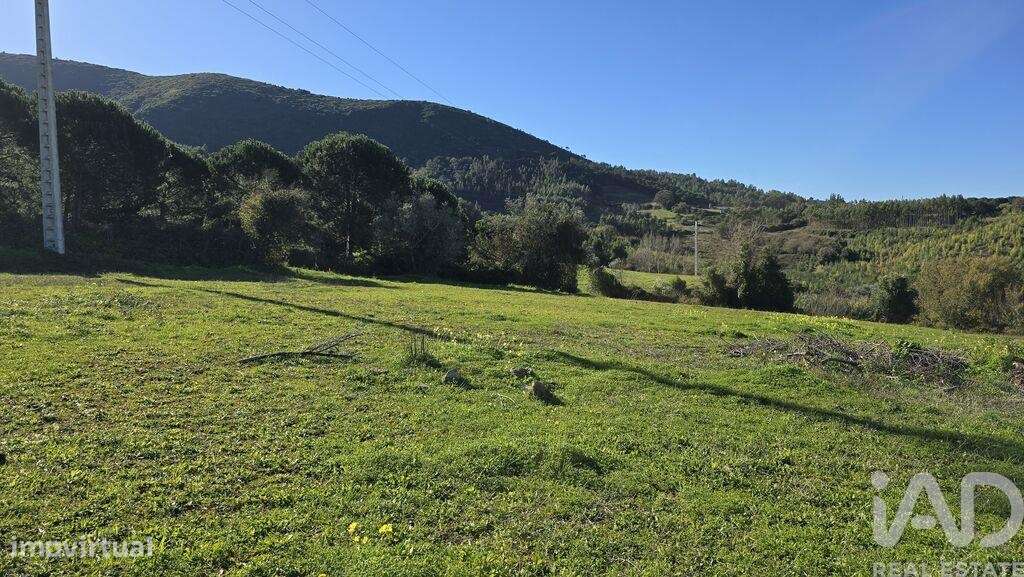 Terreno para construção em Lamas e Cercal - Grande imagem: 5/6