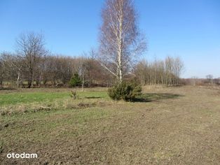 Działka budowlana- Wojkowice, Powiat Będzin