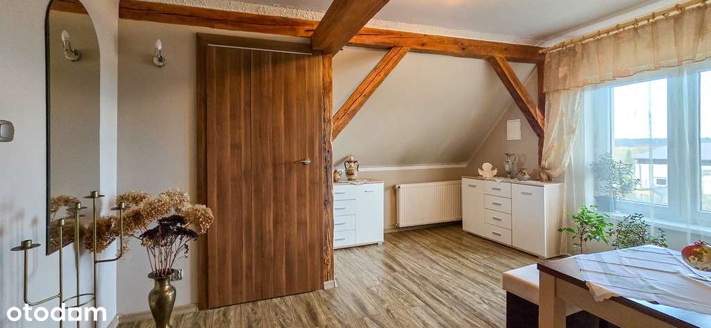 Dom w otoczeniu przyrody, Borki- działka 8497 m2-2