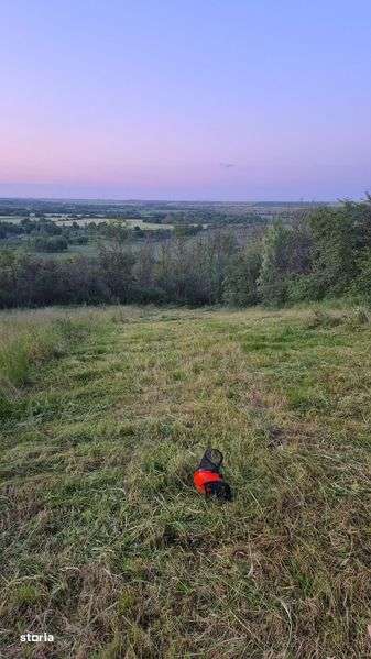 teren de vanzare in Iepuresti - Imagine principală: 2/4