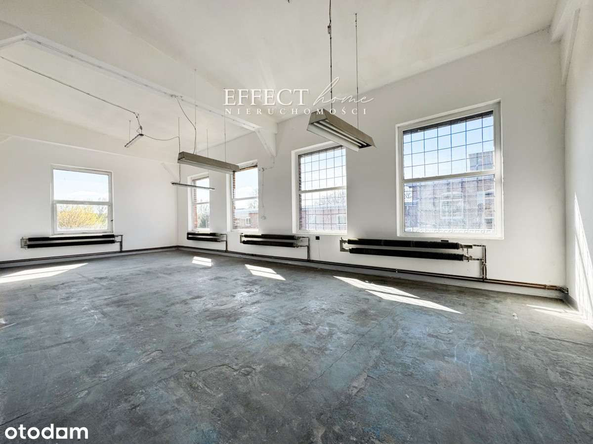 Hala 400 m²,  do wynajmu jeszcze I lub II piętro - Pełny obrazek: 2/15