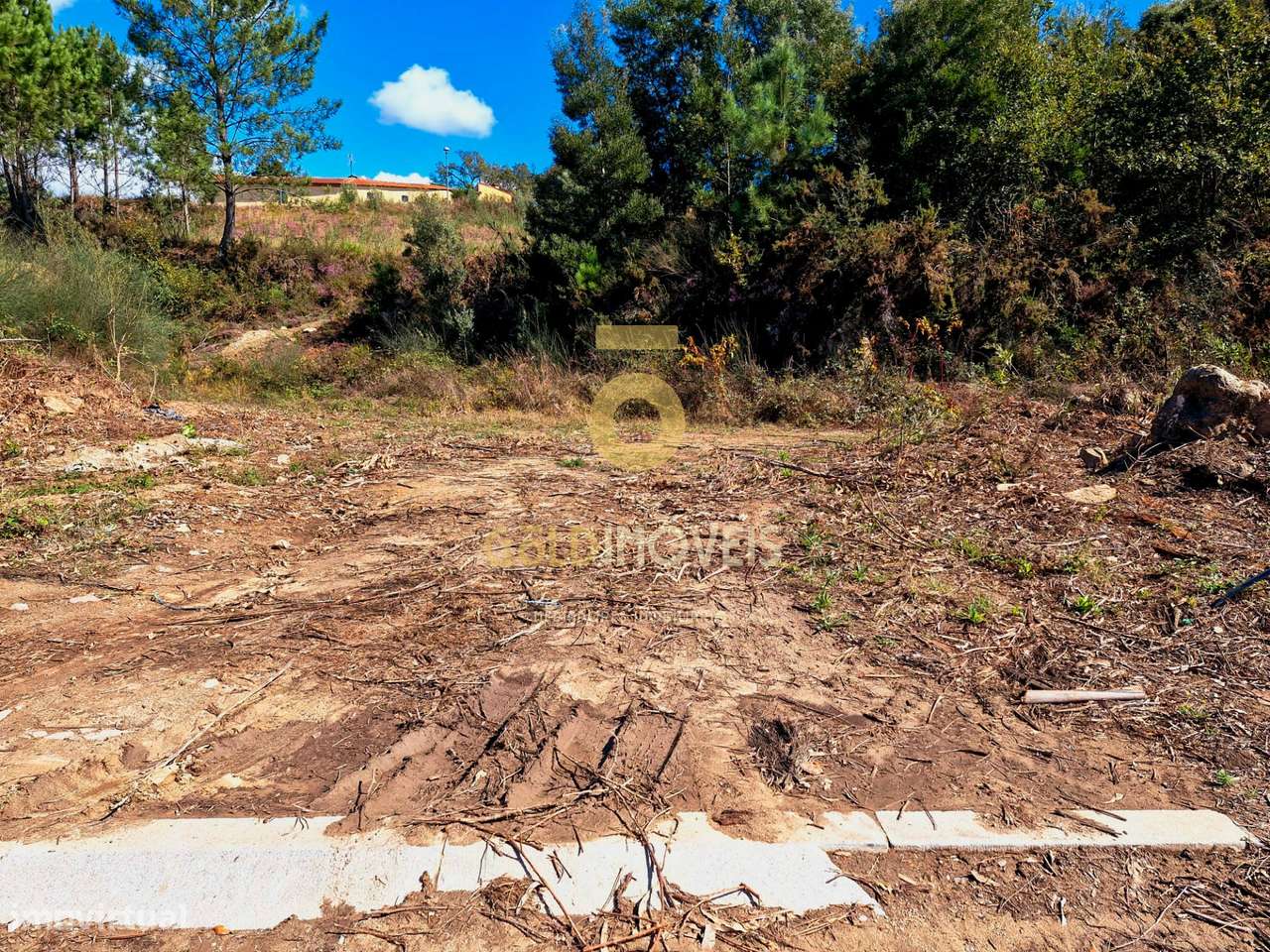 Lote de Terreno  Venda em Pinheiro da Bemposta, Travanca e Palmaz,Oliv - Grande imagem: 5/7