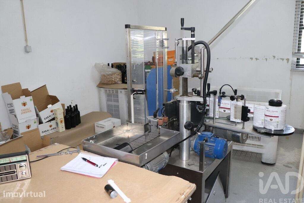 Hangar em Ervedosa do Douro de 841,00 m2 - Grande imagem: 4/24