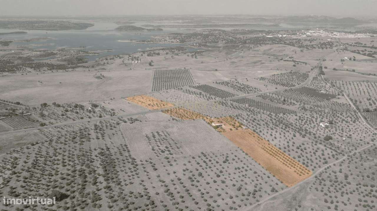 Monte Zorreiras em Mourão - Oportunidade Única no Coração do Alentejo-23