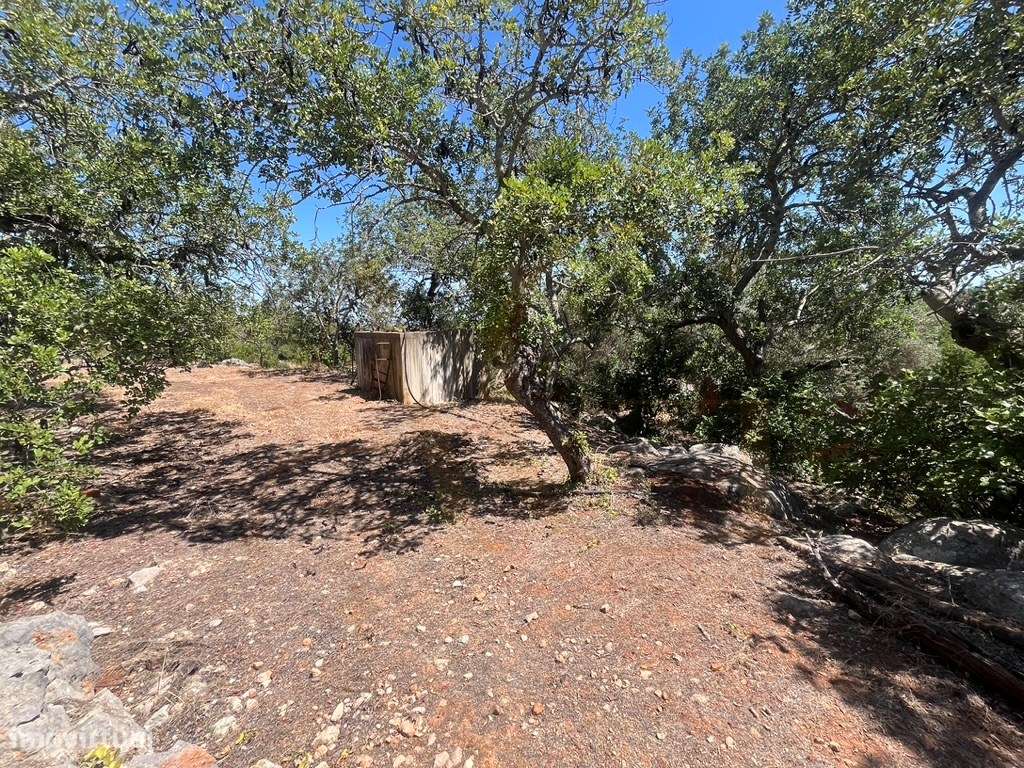 Quinta com duas casas, vistas para o mar e 11.940 m² de terreno em ...-50