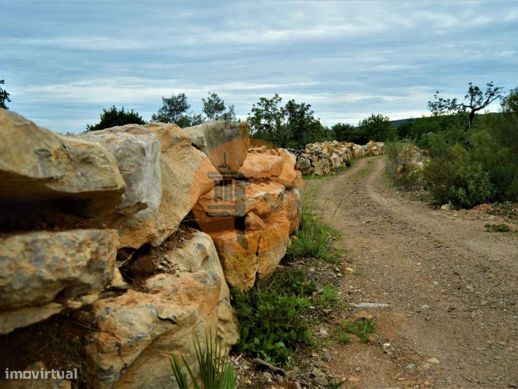 Terreno Rústico de 14020m2 vedado e com Furo - Grande imagem: 5/18