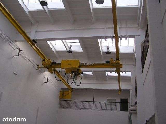 Hala w Świdnicy - Pełny obrazek: 3/8